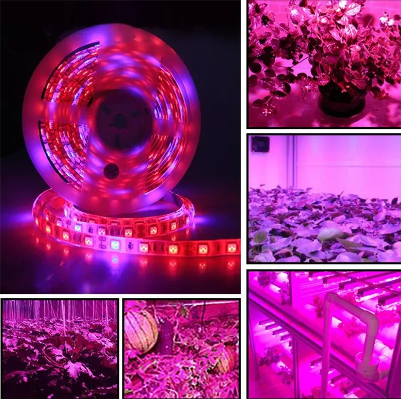 DC 12V LED Grow light Full Spectrum 5M LED Strip light 5050 LED Phyto Plant Growth lamps For Greenhouse Hydroponic Plant Growing LL