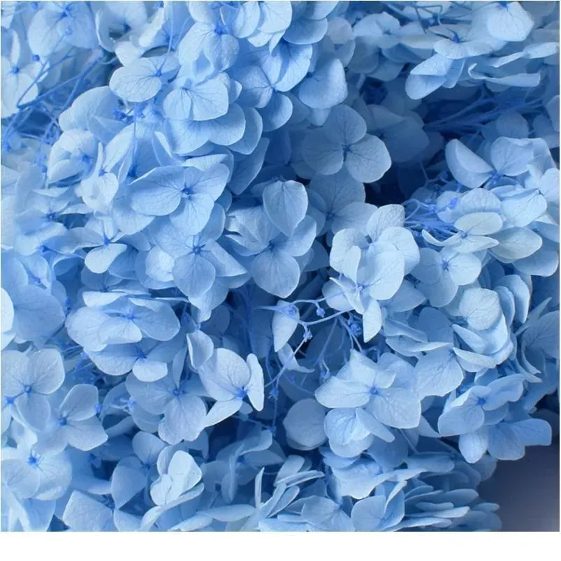 5g/lot Hydrangea Real Dried Flower Dry Plants For Aromatherapy Candleepoxy Pendant Necklace Jewelry Making Craft Diy Acc jllInL BJ