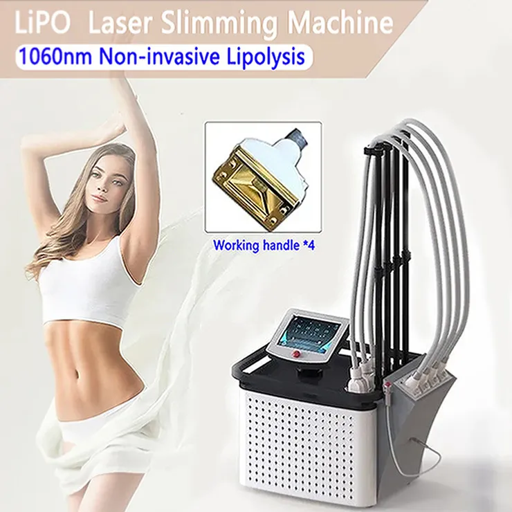 1060nm Diode Laser Fat Burning Machine for Body Fat Removal and Slimming