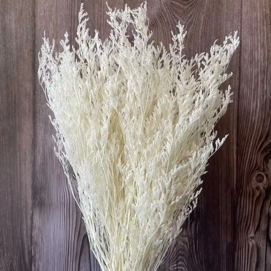70g /35~42CM Real Natural Fresh Preserved Valentine Grass Flowers BouquetLove Grass Forever Plant Dancing Flower For Wedding 240117