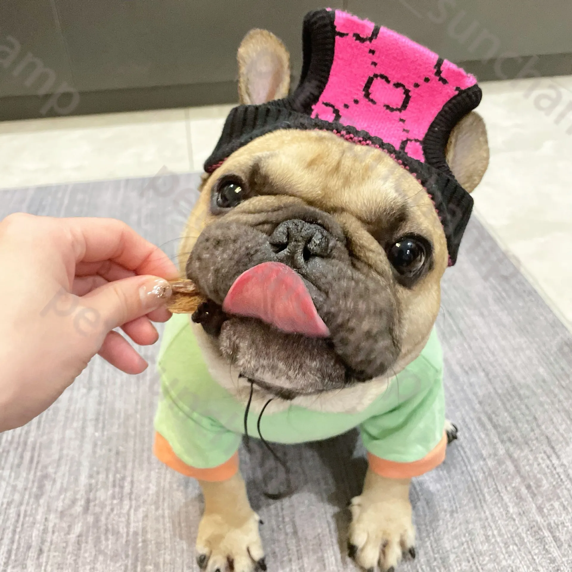 Elegante cappello per cani lavorato a maglia Cappello caldo con stampa di lettere regolabile per cani Designer Schnauzer Cappello con ornamenti per capelli a secchiello francese