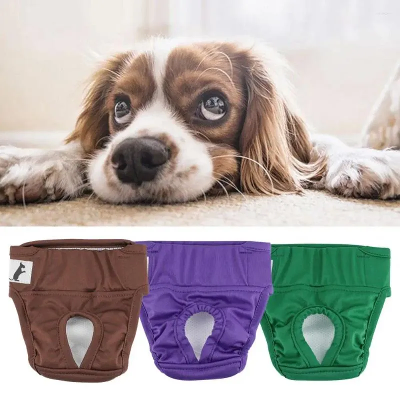 Hundkläder Pet Menstrual Pants Fastener Tejp Bekväm läcksäker blöja för perioder Inkontinenspottsträning