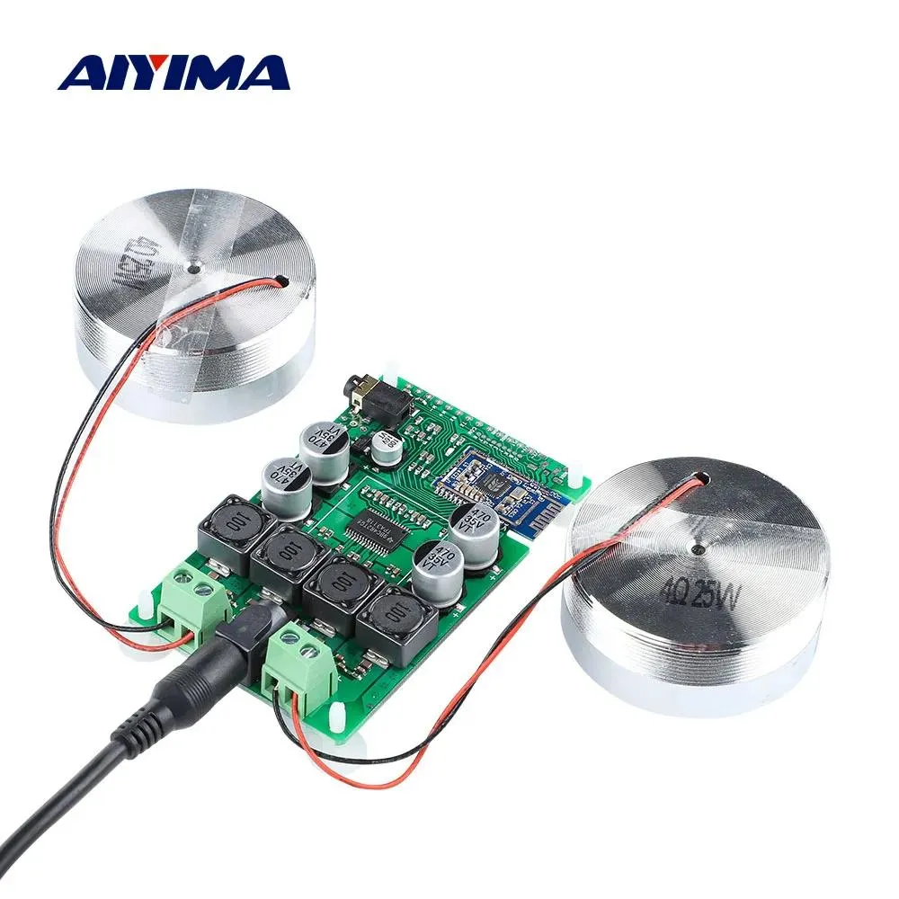 Luidsprekers AIYIMA Audio 2 Inch Draagbare 25W Resonantie Trillingen Luidspreker TPA3118 Bluetooth 5.0 Versterker Neodymium Luidspreker DC 12V 5A