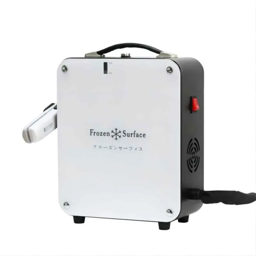 Hemskönhetsinstrument Personliga vård Apparater Behandling Frozen Flat Iron Professional Ice Cold Hair Care Set Cryolipolysis Machine627