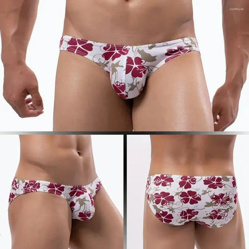 Underpants Men'S Print Briefs Bikini Gay Underwear Men Sissy Lingerie Male Cartoon Low Waist Printed Pattern