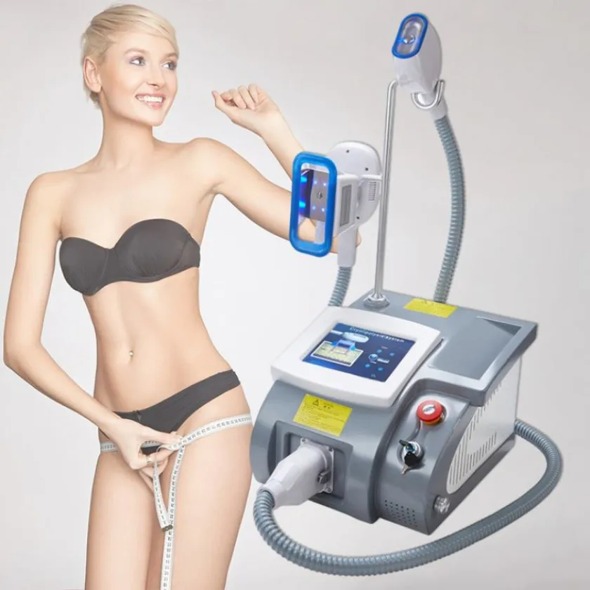 Rf Equipment 2024 New Model Spa Home Use Fat Frozen Cryolipolysis Machine With One Handle