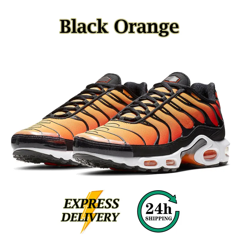 tn3 trainers