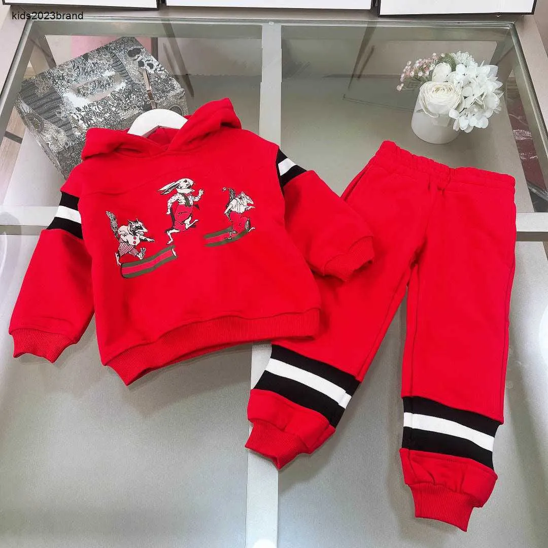 New baby Tracksuits girl boy Cartoon animal pattern printing Hoodie set Size 100-150 designer pullover and pants Jan20