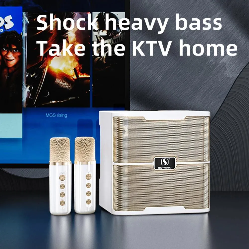 Famiglia di altoparlanti Set audio KTV Doppio microfono Macchina per karaoke Sistema di altoparlanti portatile senza fili Bluetooth Macchina per cantare integrata