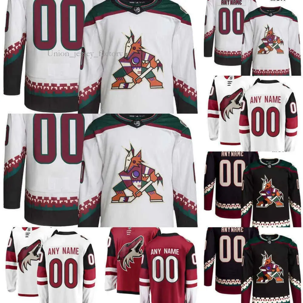 Maillots des Coyotes de hockey de l'Arizona 70 Karel Vejmelka 14 Shayne Gostisbehere 12 Ritchie 17 Nick Bjugstad 19 Troy Terry 90 J.J. Moser 9 Clayt 64 6442