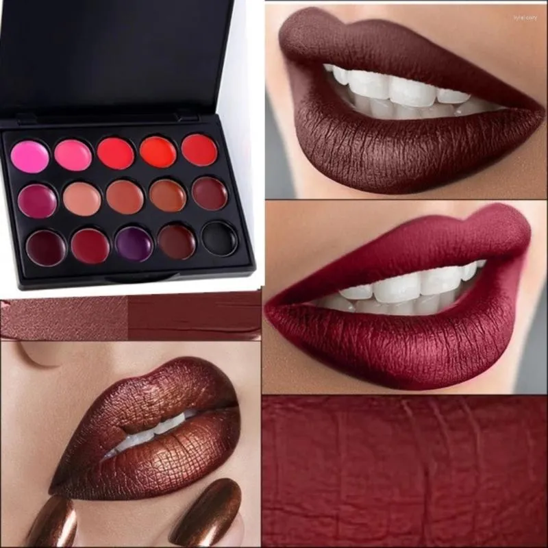 Brillant à lèvres mode rouge à lèvres Palette imperméable longue durée Pigment Style gothique noir violet dames Sexy 15 couleurs Palettes de maquillage