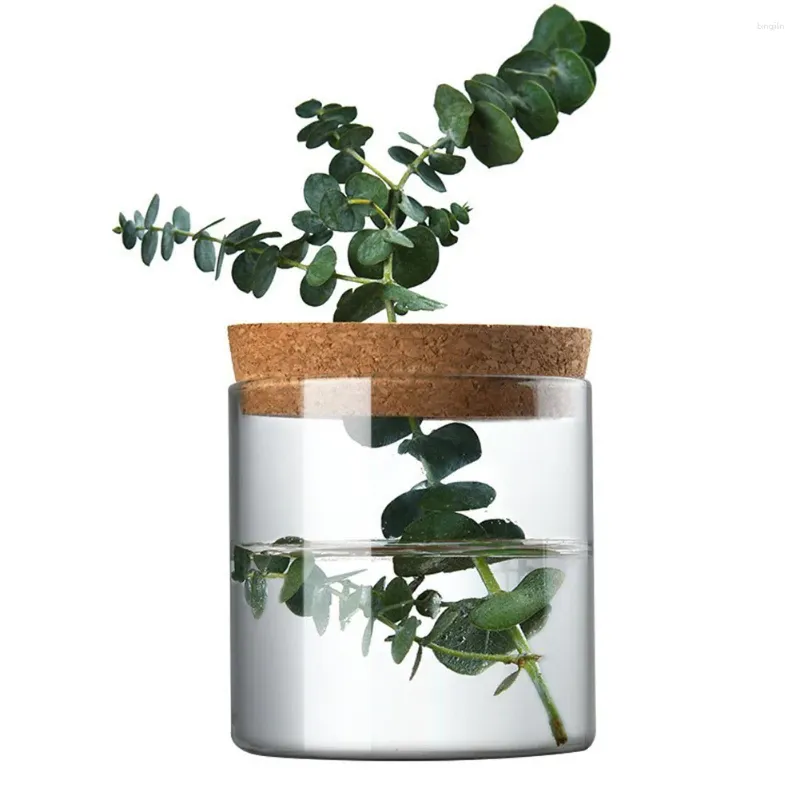 Vazen Groene Plant Hydrocultuur Decoratieve Glazen Vaas Elegant Bloemstuk Ornament Voor Woonkamer Kantoor Home Decoraties