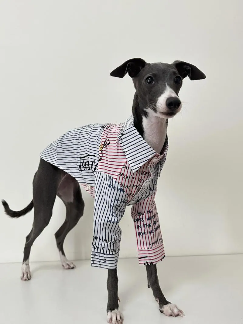 Abbigliamento per cani Levrieri Camicia Abbigliamento Primavera Estate Puro cotone traspirante Whippets Forniture per animali domestici italiani