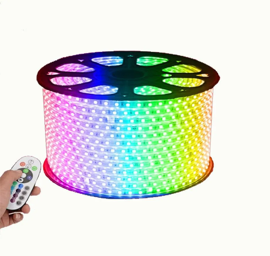 RGB AC 110 V LED-strip Buiten Waterdicht 5050 SMD Neon Lichtslang 60 LEDs M Met STROOMVOORZIENING Knipbaar op 1 meter Via op voorraad2957483