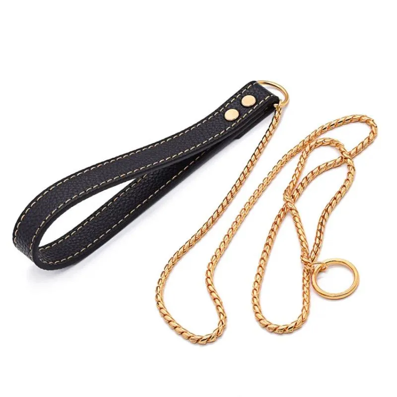 Apparel New Integrated Snake Chain P Chain Traction Chain Golden Stainless Steel Collar Dog Rope Dog Walking Dog Harness and Leash Set