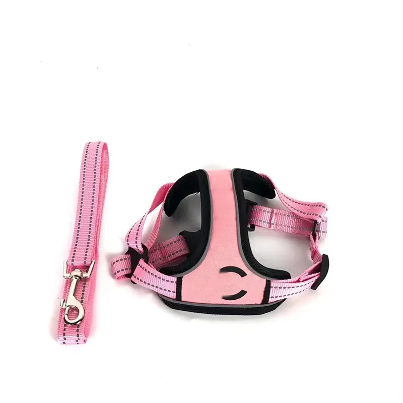 Designer Dog Cat Harness Fadou Fashion Märke Designer Dog Collar Fashion Märke Seles Leash Suit Bomei Corgi CSD2401235