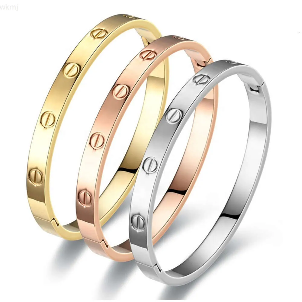 Bracelet de couple en acier inoxydable et zircon, célébrité d'internet, bijoux fins, luxe pour femmes