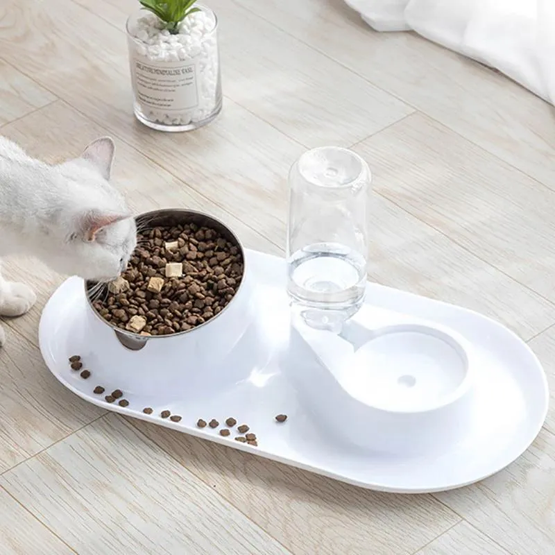 Matare automatiska kattskålar dubbla skålar med upphöjd stativ husdjursmat och vattenskålar för hundar matare kattskål rostfritt stål hundskål