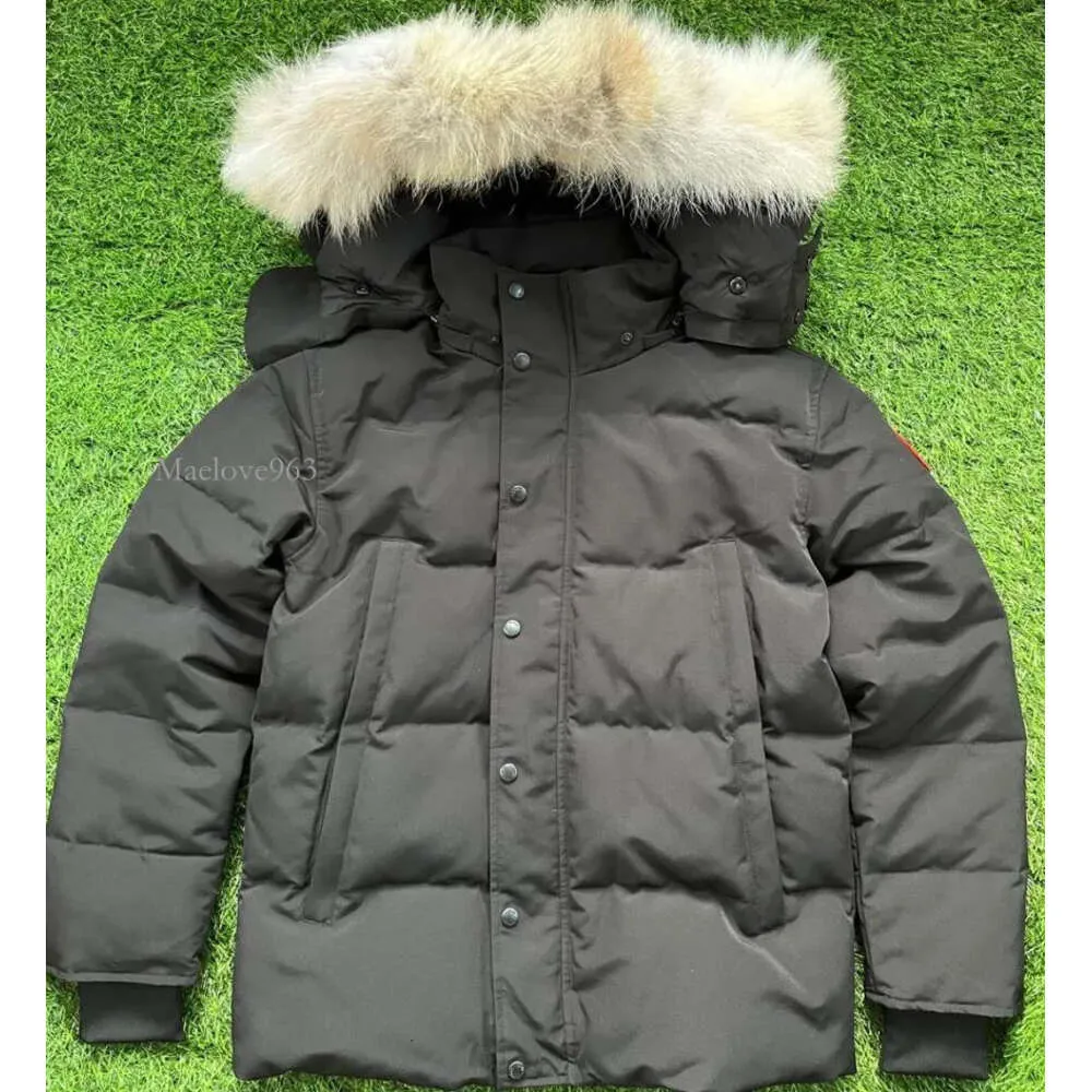 Jaqueta Puffer Casaco de penas de ganso Parka Wyndham Homens Designer Real Coyote Fur Outdoor Windbreaker Jassen Outerwear Com Capuz Fourrure Manteau Hiver Doudoune D88