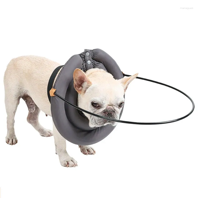 Collari per cani Collisione Gatto non vedente Forniture per animali domestici a piedi assistiti Dispositivo di guida per imbracatura cieca