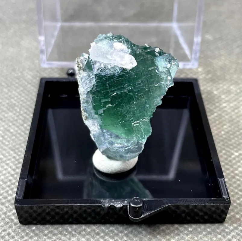 Katzenträger! Natürliche seltene grüne abgestufte Form Fluorit und Kristallsymbiose Mineralexemplare Steine Kristalle Box Größe 5,2 cm