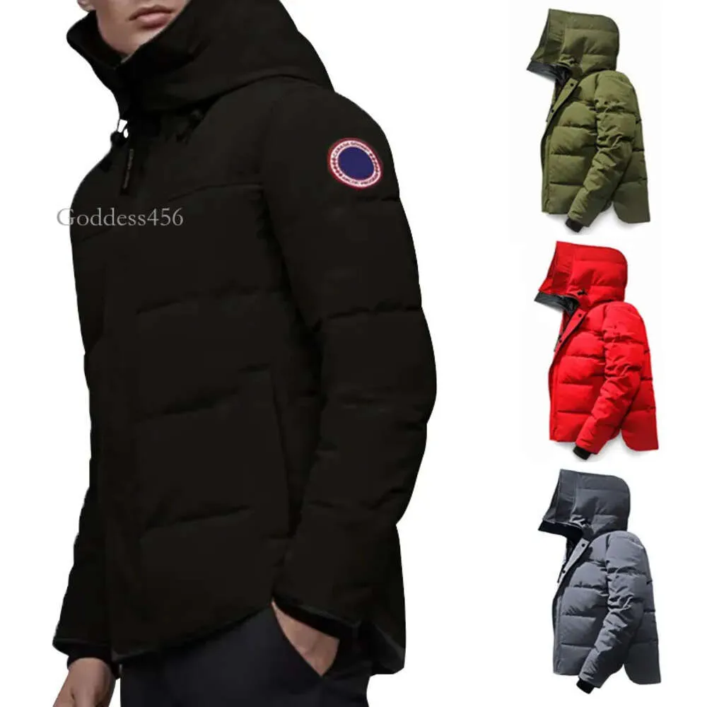 Designer inverno para baixo jaqueta canadá homens mulheres moda canadense tendência com capuz parkas ganso amantes engrossado calor pena quente casaco ao ar livre