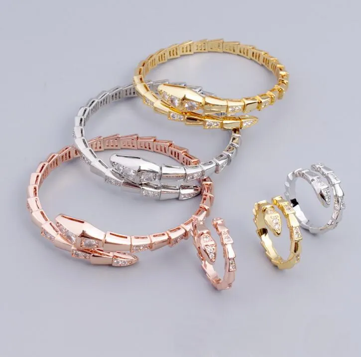 New Vintage Style Snake Bracelet Ring Set with Spacer Diamonds Simplicity Snake Bone Women's Favorite Jewelry Hiphop Rock Punk