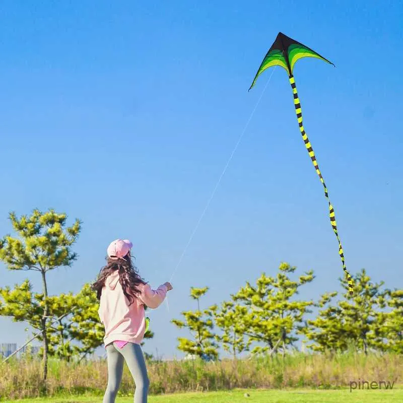 Accessoires de cerf-volant YongJian Grand Cerf-Volant Delta pour Enfants Adultes Facile à Voler Grand Cerf-Volant Delta énorme Livré avec une Queue de 6 m Cerf-Volant Facile à Voler Jouet d'extérieur