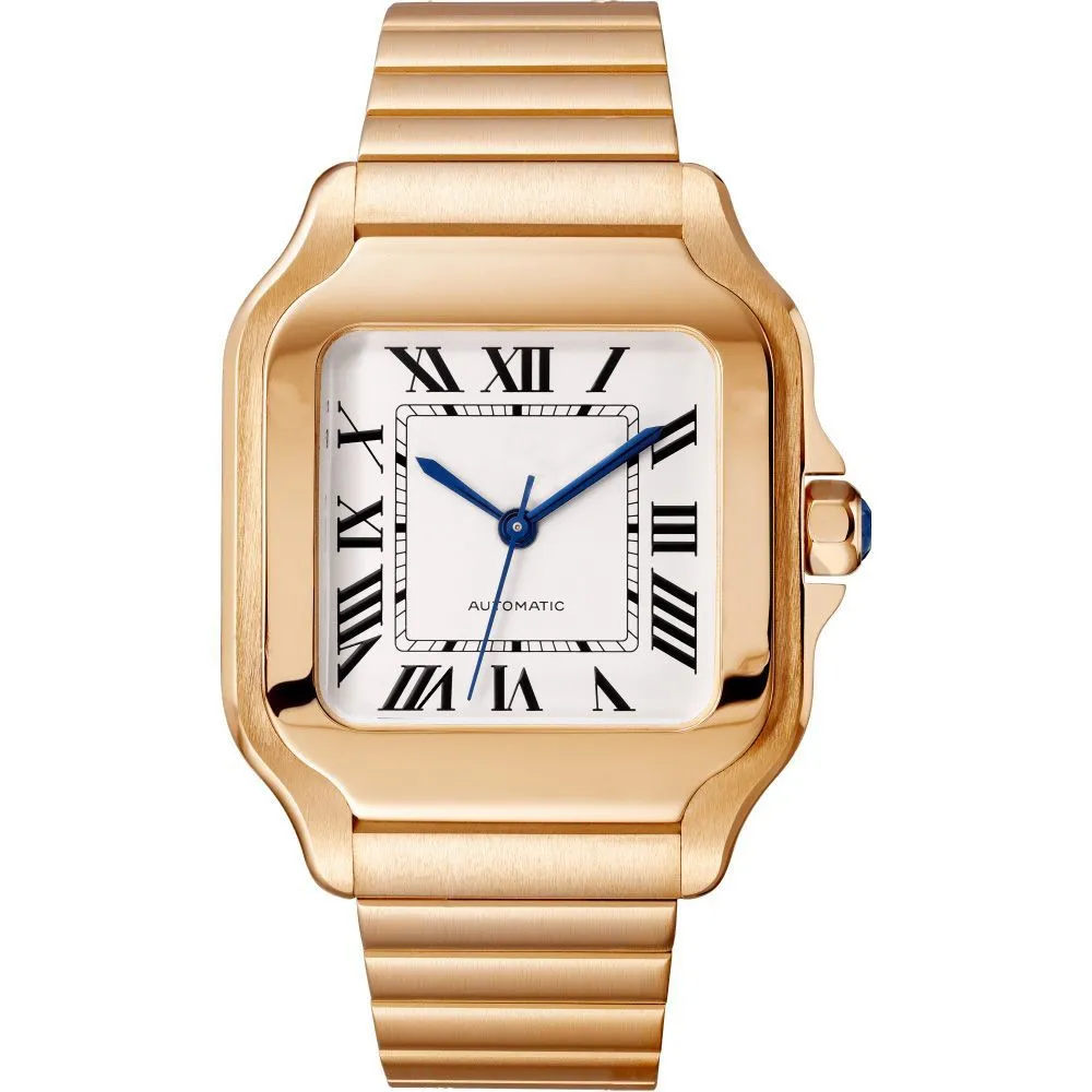 Luxusmenschen Uhren Skelett Uhr 39mm Automatische mechanische Bewegung Edelstahl Frauen Uhren gebackene blaue Uhren Nadel Fashion Ladies Wristwatch Montre 97