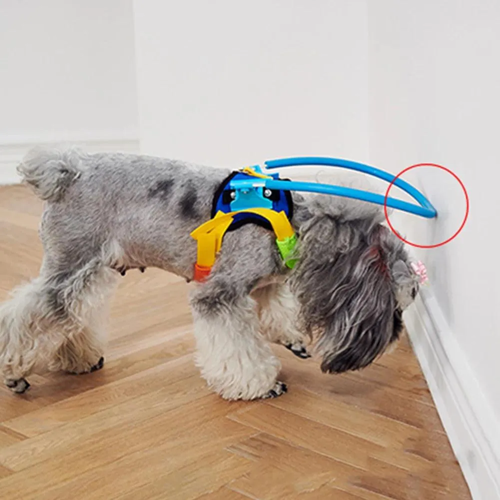 カラーペットカラーブラインドペットペットアンチコリジョンカラードッグガイドトレーニング行動補助小さな大きな犬の衝突襟の供給を防ぐ
