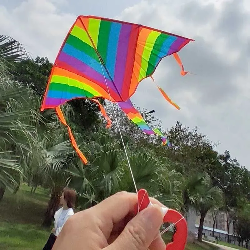 Long Tail Triangle Kites For Adults - Colorful, Easy To Fly Rainbow Kites For Beach, Park, Or Outdoor Activities