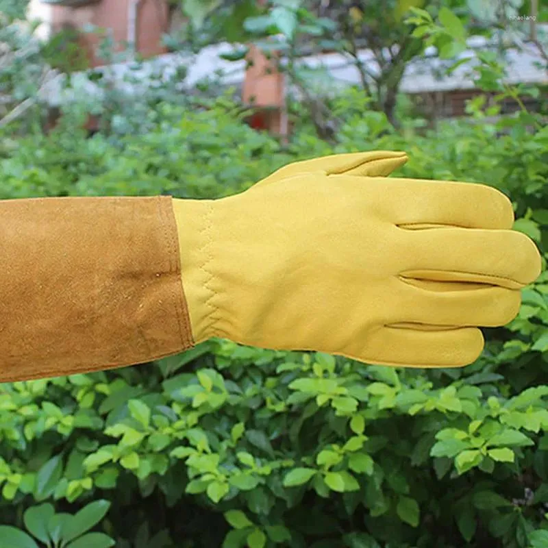 Gants jetables respirants de protection à manches longues, 1 paire de manches d'élagage pour le jardinage et l'apiculture