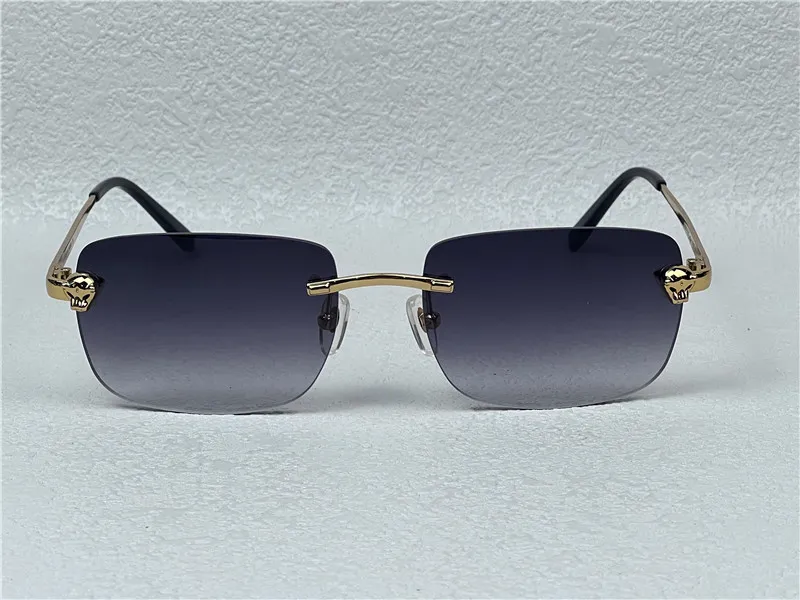 Animal eyewear frames deals