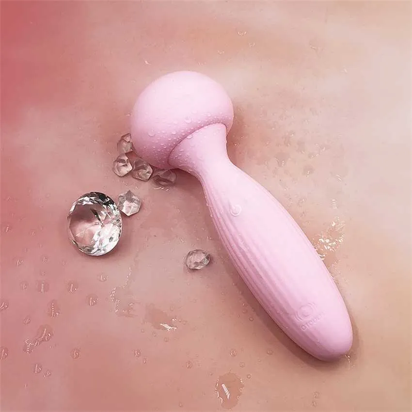 Vibrateur de charge de champignon masturbation féminine bâton de massage à double tête produits amusants pour adultes 231129