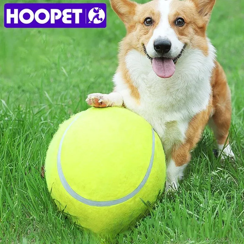 Leksaker hoopet 24 cm jätte tennisboll för hund tugga leksak husdjur hund interaktiva leksaker stora uppblåsbara tennisboll husdjur leveranser utomhus hund leksak