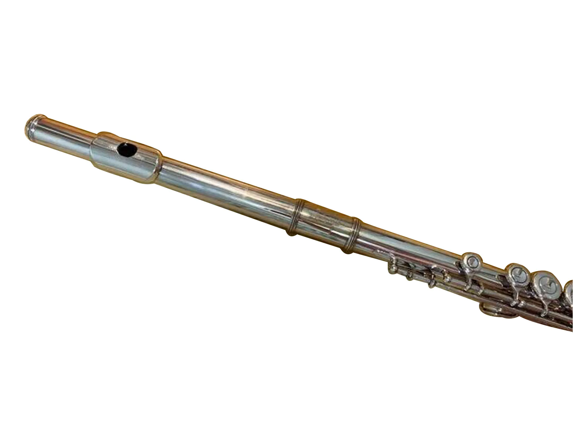 YFL-411 Flute Silver Musical Instrument Case
