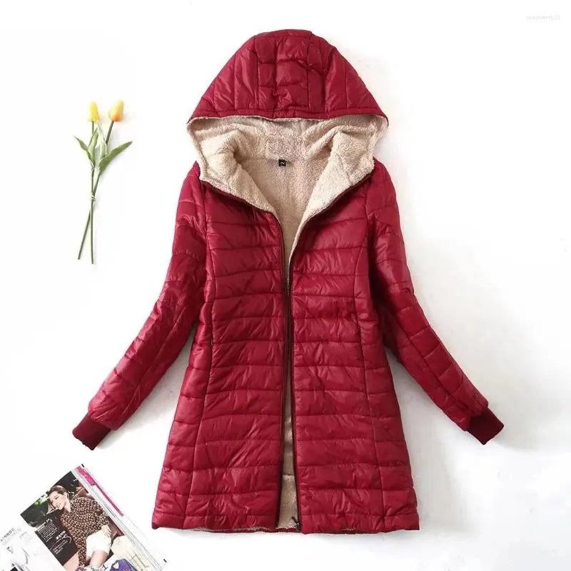 Vestes Femmes Femmes Automne Légère Doublure En Peluche Solide Dames Parka Lâche Femme Zipper OutwearWinter Mi-longueur Veste En Coton À Capuchon