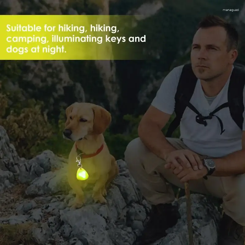 개 칼라 칼라 삼각형 LED 조명 빛나기 조절 식 깜박이는 재충전 재충전 라미니에 밤 걷기