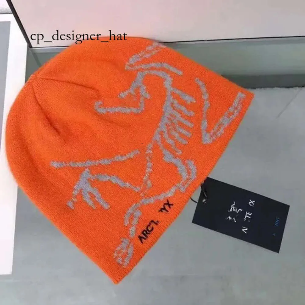 Arctery Beanie Arctery Hat Cap Tricoté Ancêtre Hat Arc Hat Cachemire Chapeau Designer Hat Femmes Hommes Beanie Arc Hat Faashionable Bird Logo Big-head Cap 4234