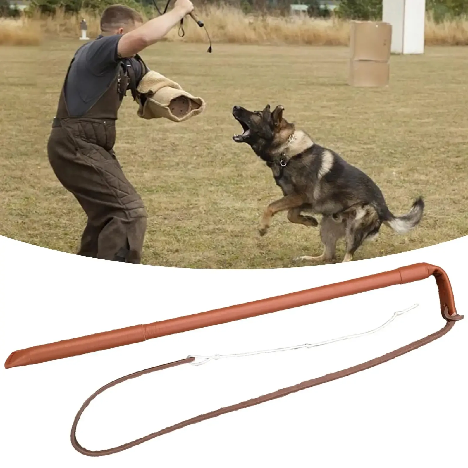 Leinen Professionelle Hundetraining Agitation Peitsche Aggressive Haustiere Gehorsam Unterhaltung Agility Training Übungsspielzeug