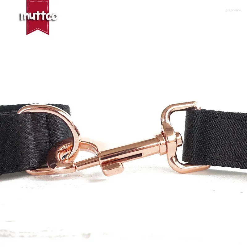 Halsbanden Leiband en halsband Set Huisdier Leading Rope Metalen haak ketting voor kleine middelgrote grote honden Puppy-accessoires Zwarte kleur