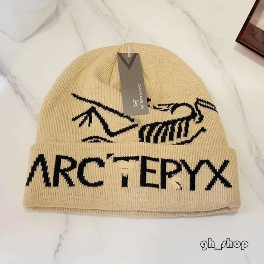 GROTTO TOQUE Knitted Hat Cashmere Hat Designer Hat Women's Men's Beanie Fashionable Knitted Hat Ancient Bird Logo 931