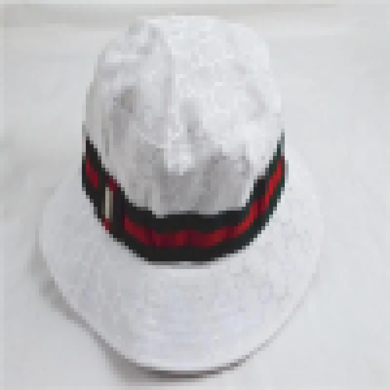 Designer Luxury Hat New G Web Sherry Line Hat Canvas White