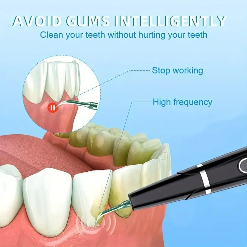 1 unidad de eliminación de sarro, limpiador dental ultrasónico con luz LED, espejo bucal de aumento de acero inoxidable, organizador de cepillos de dientes con forma de cactus.