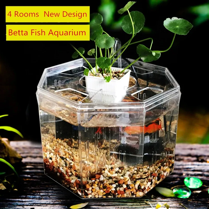 Réservoirs Grande taille 4 pièces Aquarium acrylique quatre fentes Betta Aquarium avec panier plante 4 arc combat Isolation trappe race boîte At006