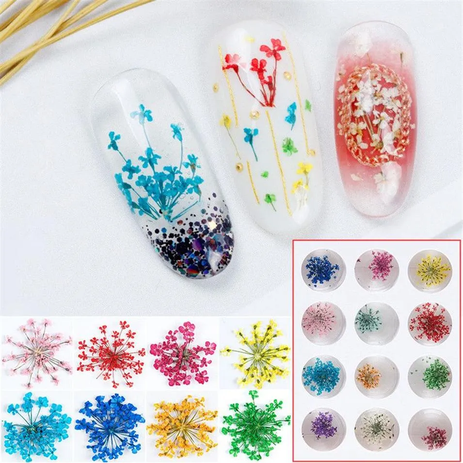 100 pièces 15-20mm pressé séché Ammi Majus fleur plantes sèches pour Nail art résine époxy pendentif collier fabrication de bijoux artisanat bricolage Acces1724