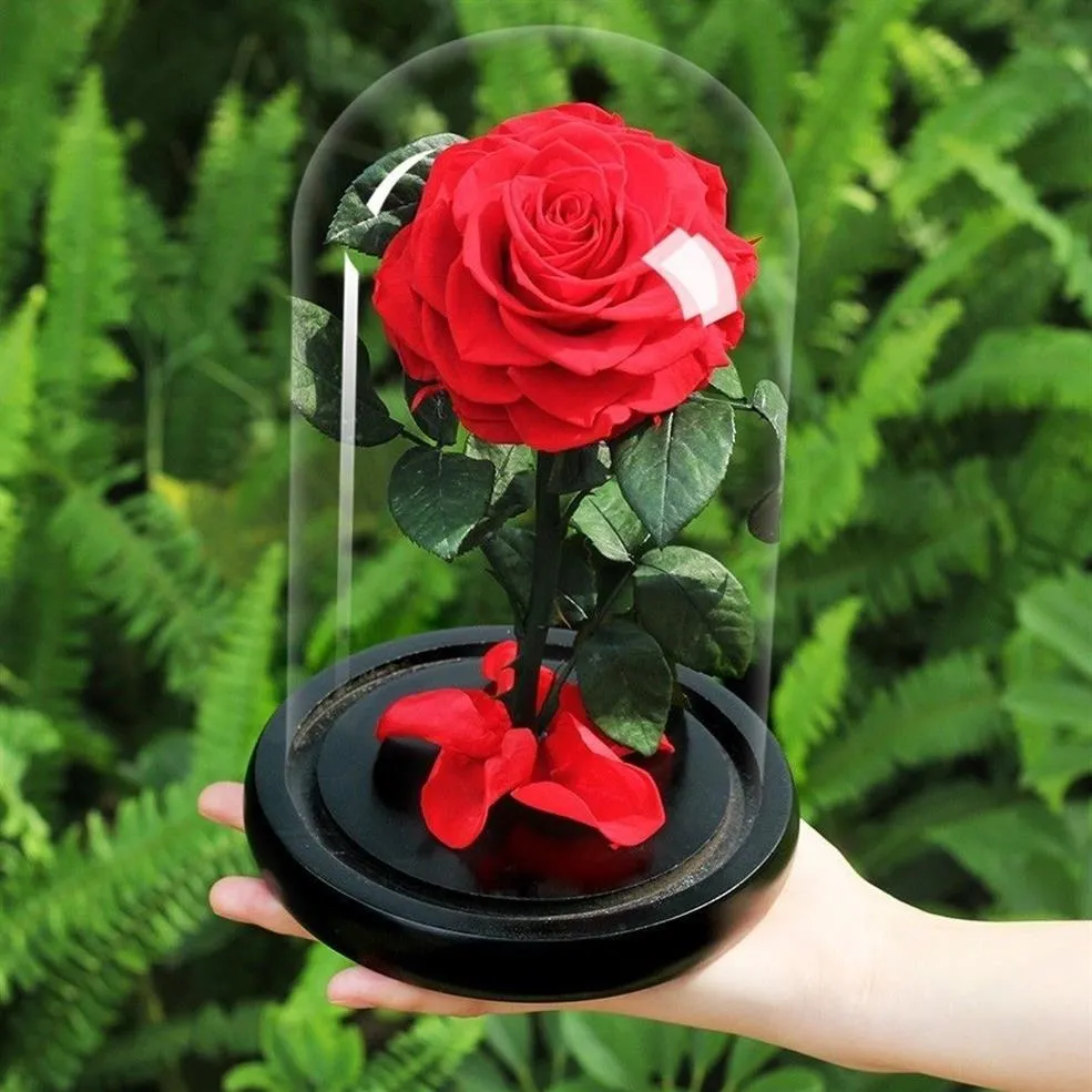 Ewige Rose mit Kuppel, Glas, schwarzer Sockel, künstliche Blumen, Geschenk zum Valentinstag, Weihnachtsgeschenk, Heimdekoration, T20252w