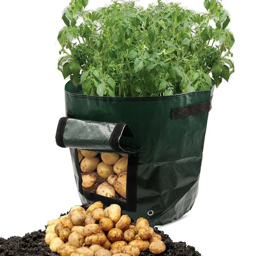 Sac de conteneur de croissance de pommes de terre, bricolage plante en tissu polyéthylène, jardinage de plantes, légumes épaissis, sac de croissance de plantes, outils de jardin 240130