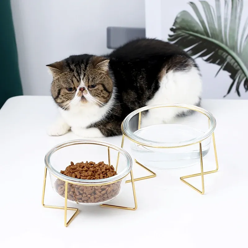 Feeders Cat Bowl Glass Water Drinking Drinker Feeder Food Feeding Dispenser Chats Dogs Goods For Cats Accessories Animal Supplies #P002