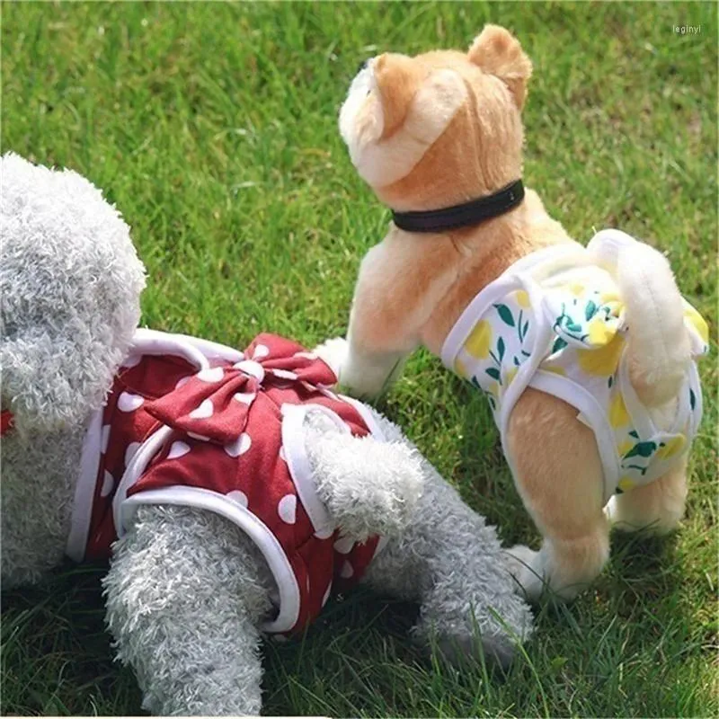 Hundkläder husdjur fysiologiska byxor menstruation prinsessa trosor blöja andningsbara båge kläder elasticitet s-xl